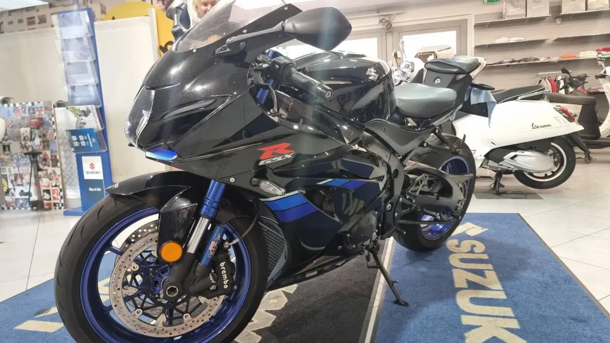Suzuki GSX-R1000R (2017 - 18) (7)