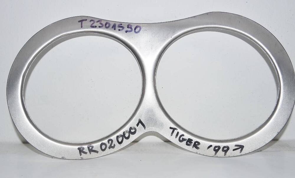 Tiger 955 Triumph (3)