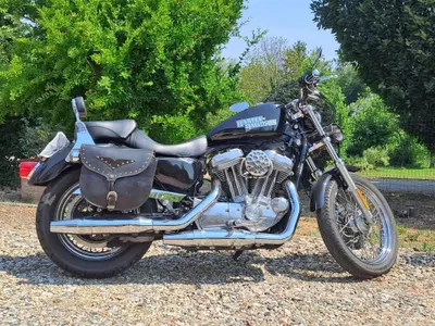 Harley-Davidson 883 (2006 - 07) - XL usata