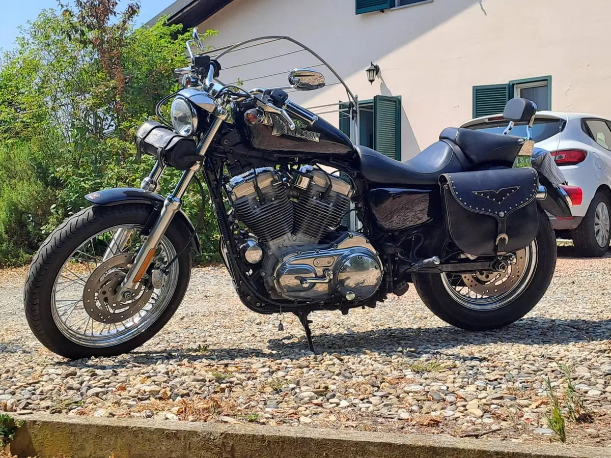 Harley-Davidson 883 (2006 - 07) - XL (2)