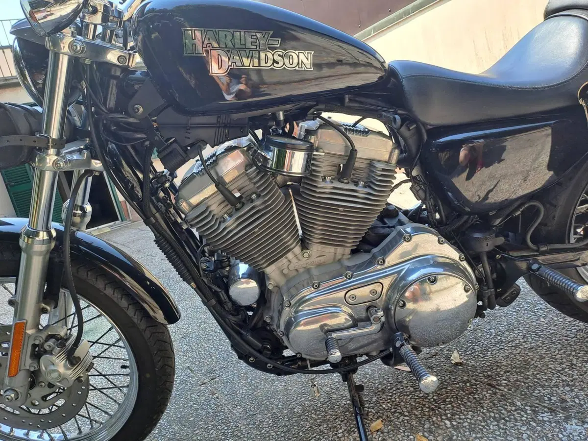 Harley-Davidson 883 (2006 - 07) - XL (3)