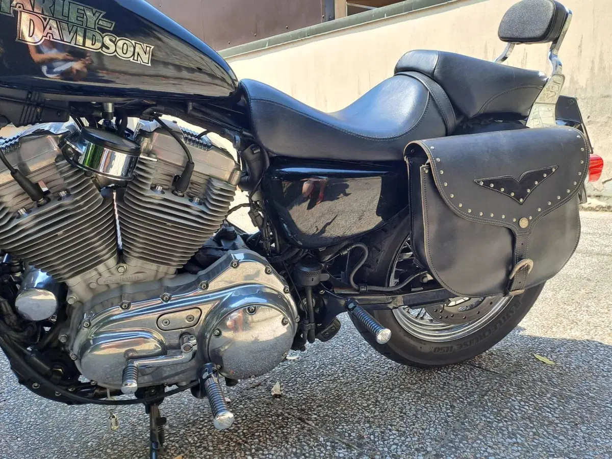 Harley-Davidson 883 (2006 - 07) - XL (4)
