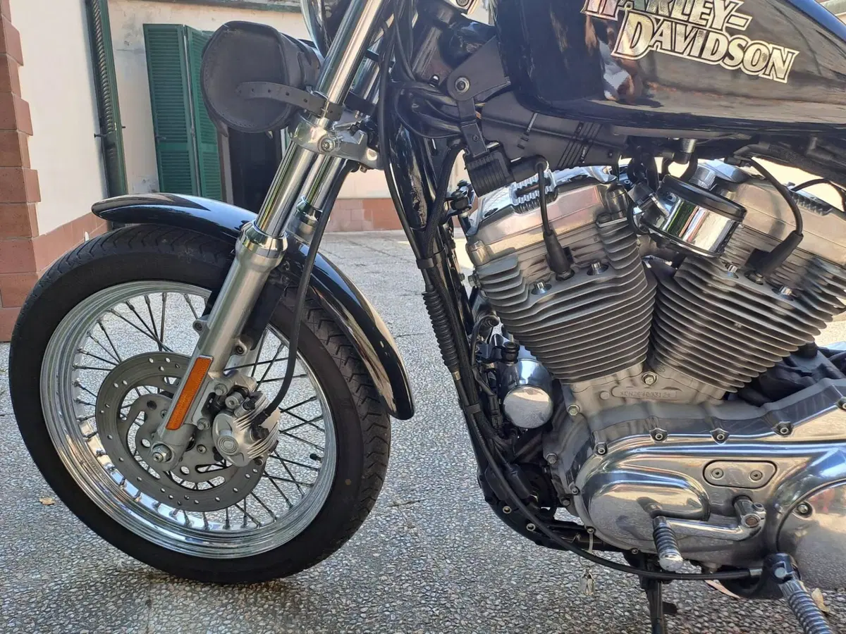 Harley-Davidson 883 (2006 - 07) - XL (5)