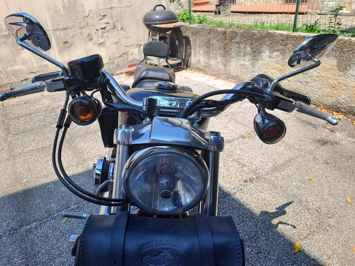 Harley-Davidson 883 (2006 - 07) - XL (6)