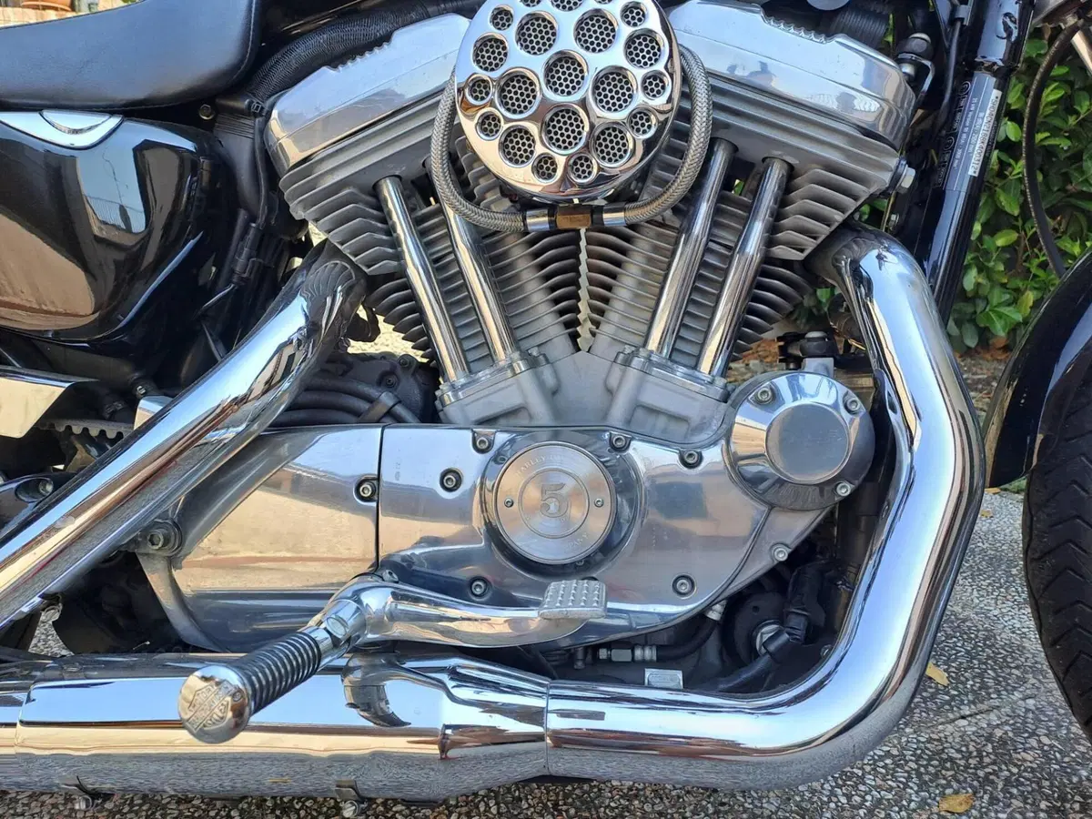 Harley-Davidson 883 (2006 - 07) - XL (8)