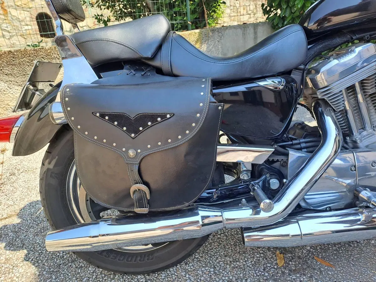 Harley-Davidson 883 (2006 - 07) - XL (9)