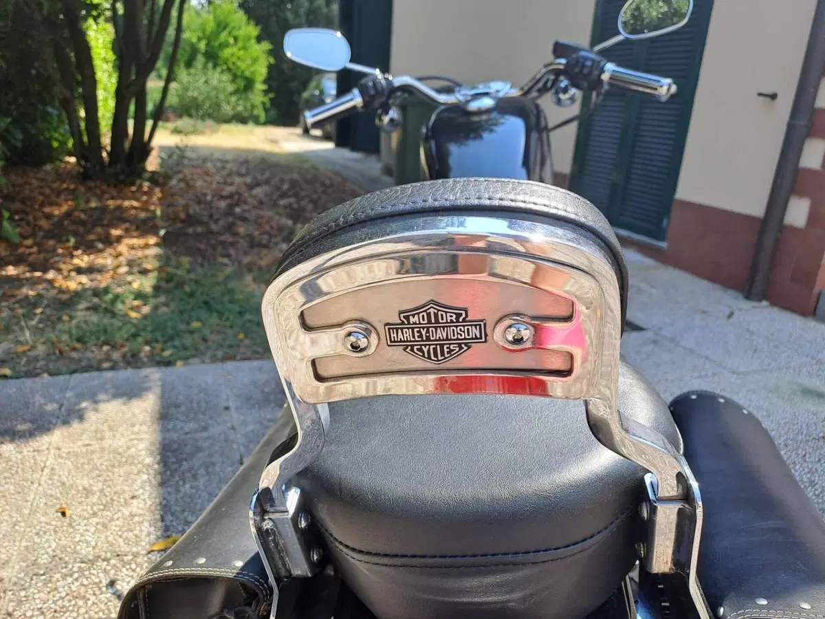 Harley-Davidson 883 (2006 - 07) - XL (10)