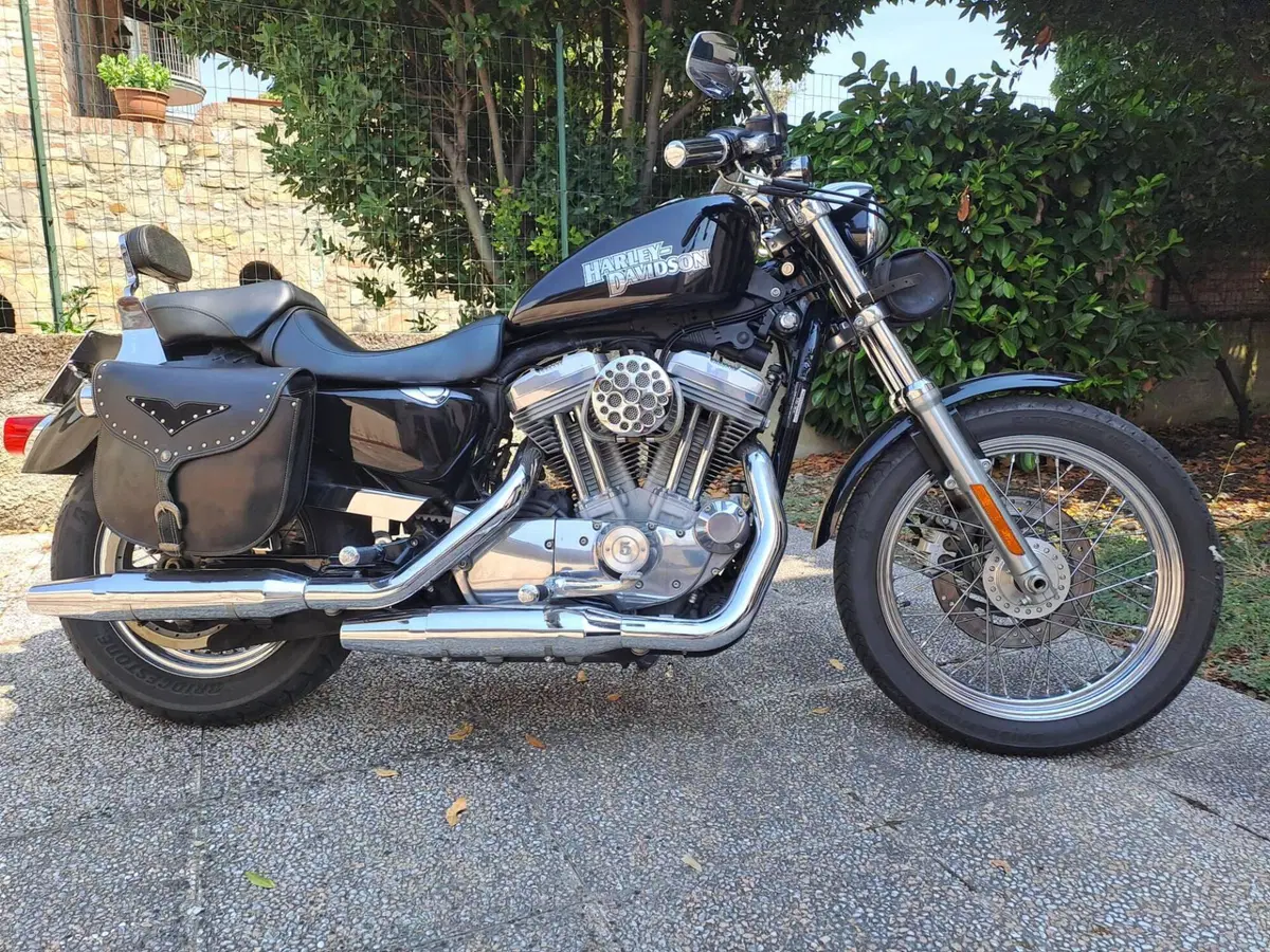 Harley-Davidson 883 (2006 - 07) - XL (11)