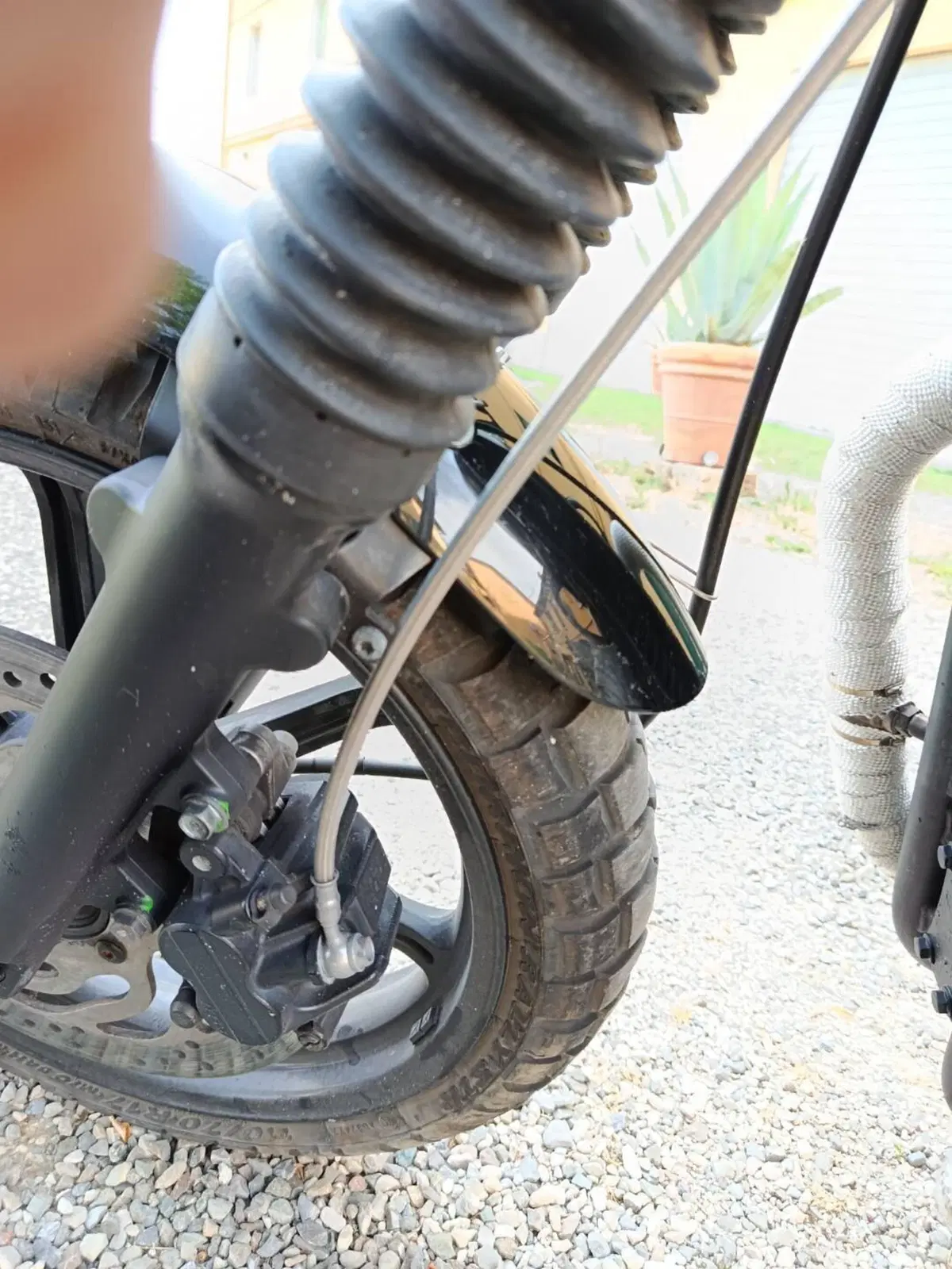 Triumph Bonneville SE (2009 - 13) (10)