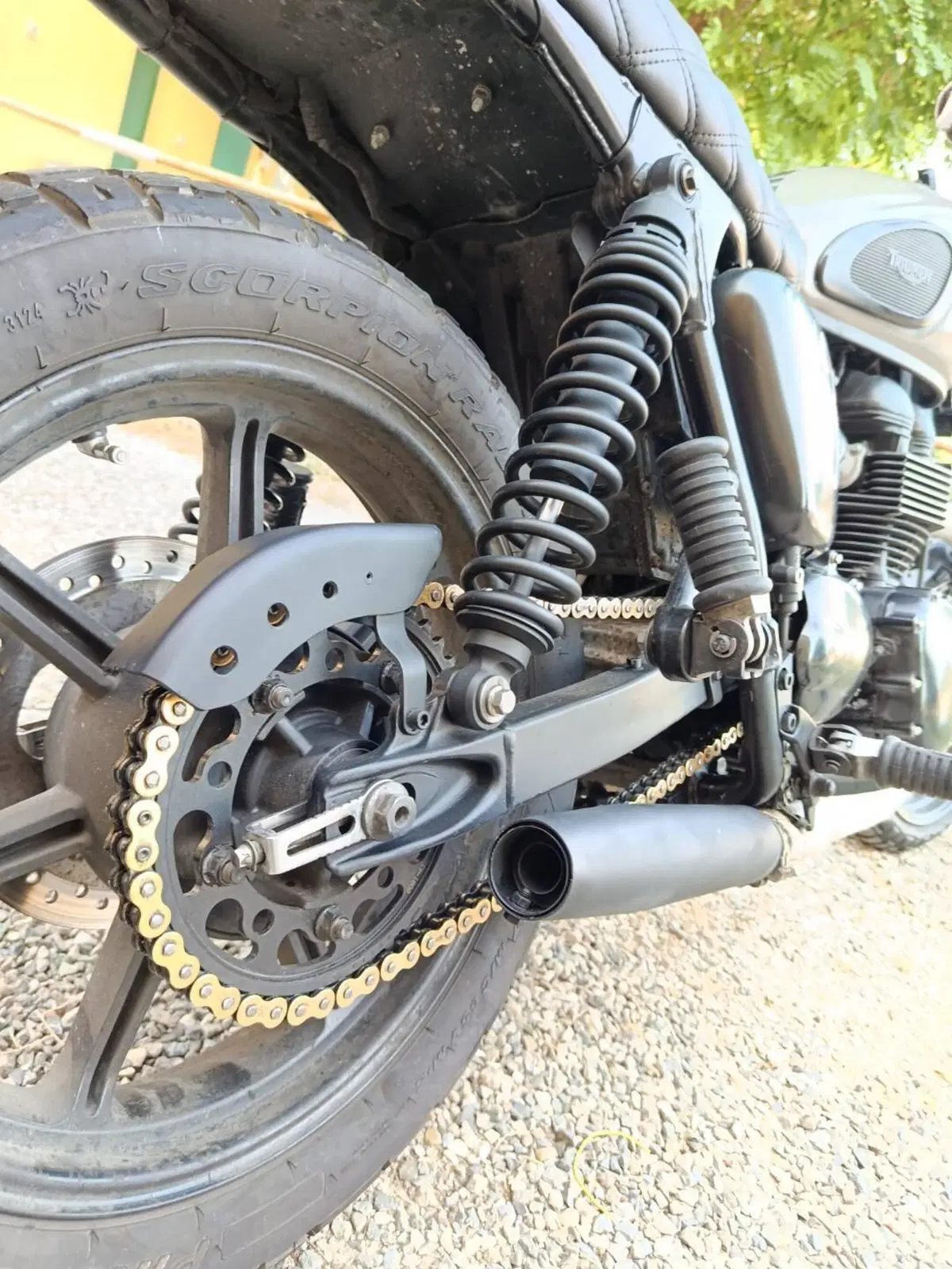 Triumph Bonneville SE (2009 - 13) (15)