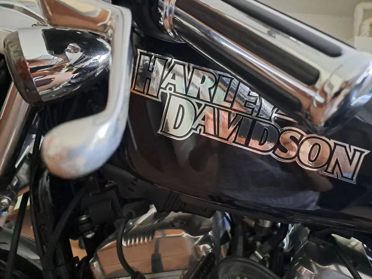 Harley-Davidson 883 (2006 - 07) - XL (15)