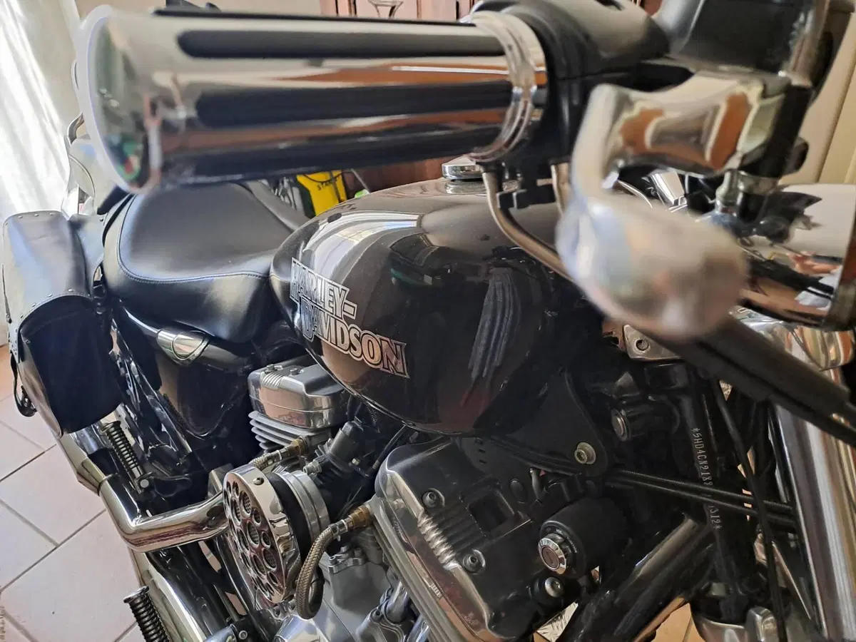 Harley-Davidson 883 (2006 - 07) - XL (16)