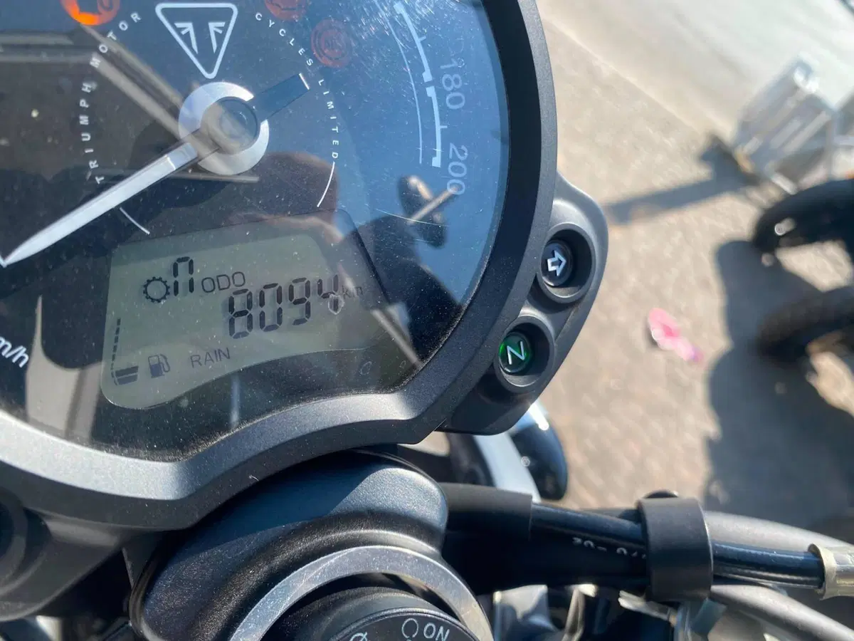 Triumph Speed Twin 900 (2023 - 24) (3)