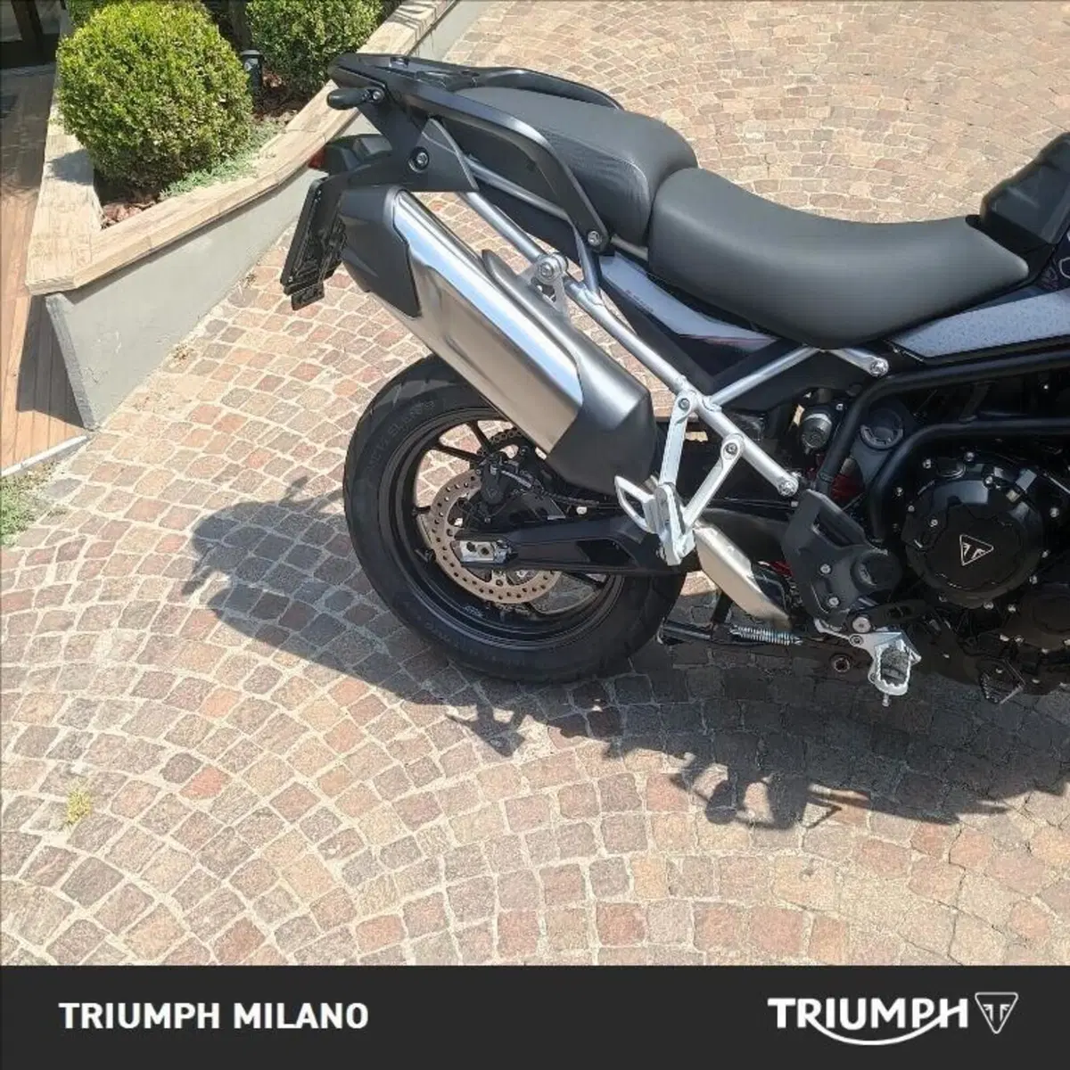 Triumph Tiger 900 GT Pro (2024 - 26) (2)