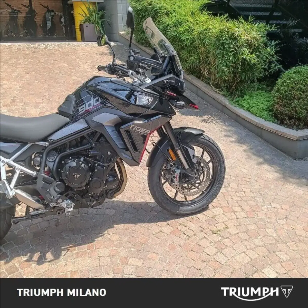 Triumph Tiger 900 GT Pro (2024 - 26) (3)