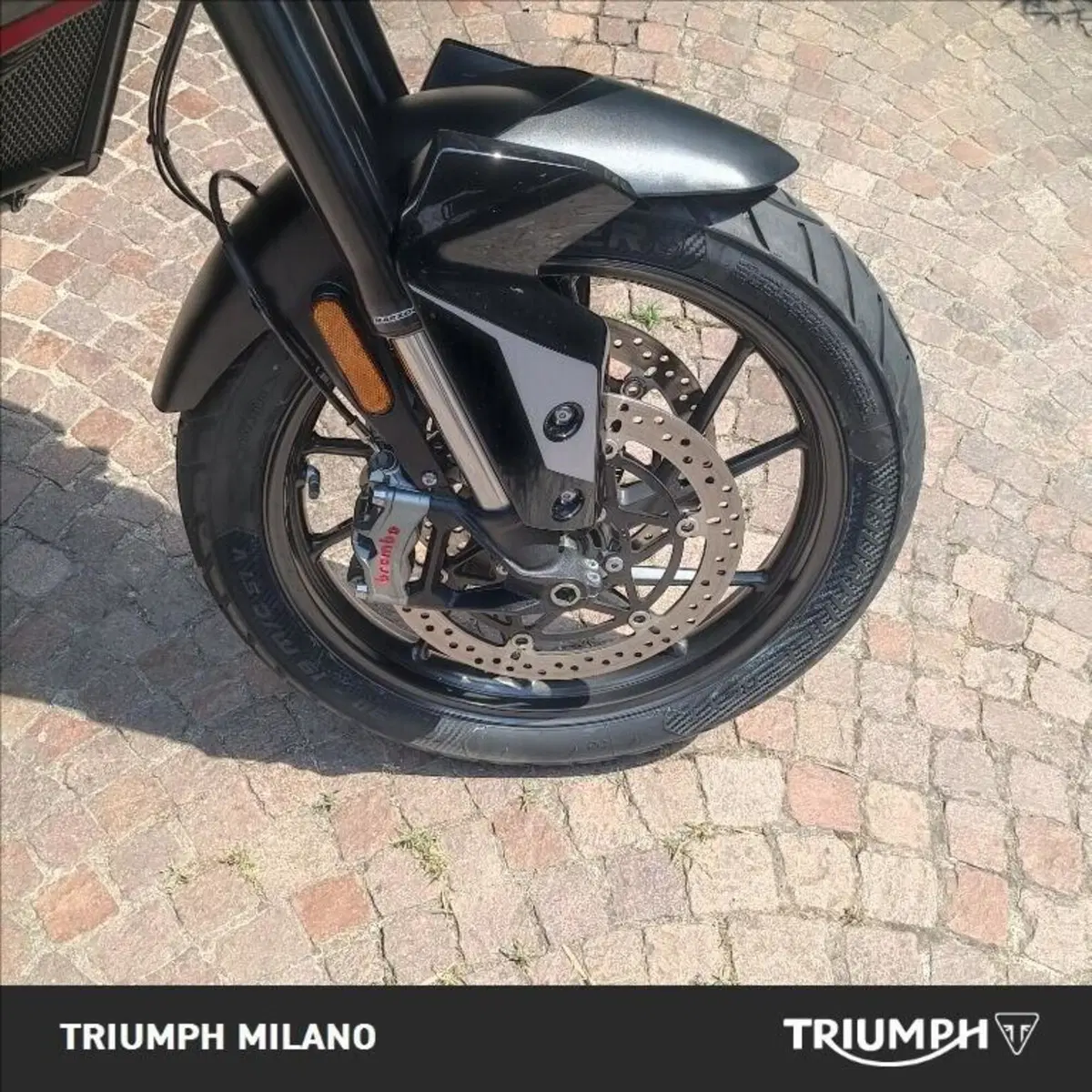 Triumph Tiger 900 GT Pro (2024 - 26) (4)