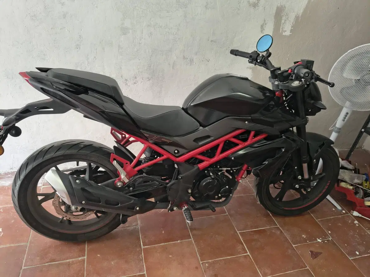 Benelli BN 125 (2021 - 25) (7)