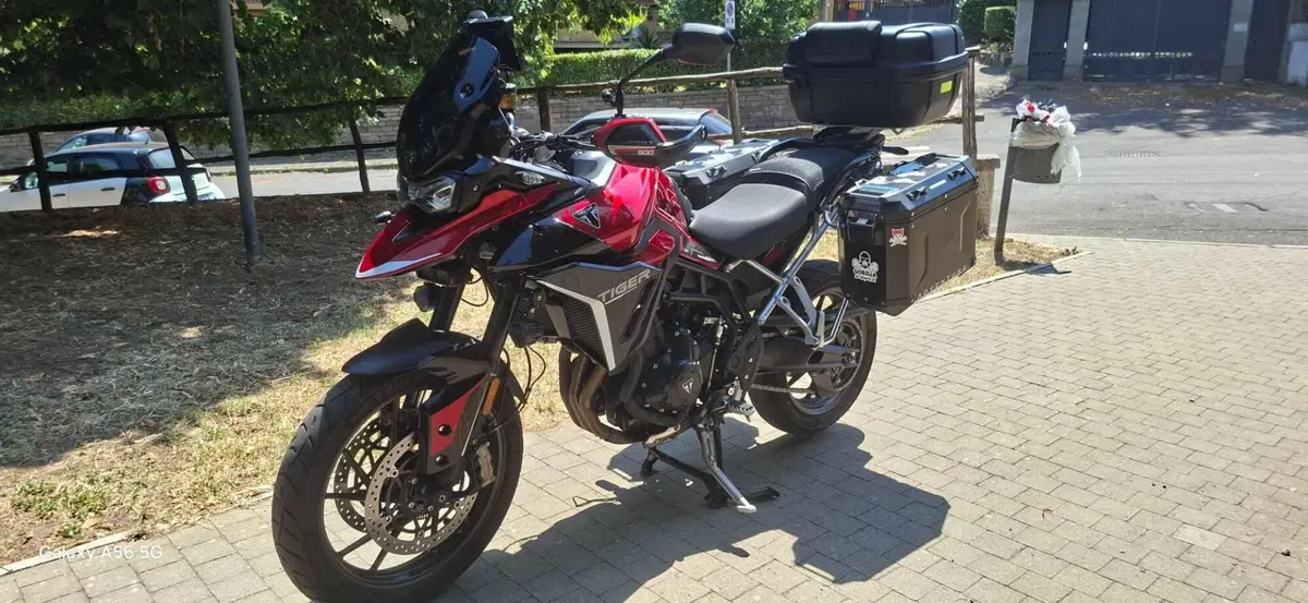 Triumph Tiger 900 GT (2024 - 26) (3)