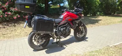 Triumph Tiger 900 GT (2024 - 26) usata