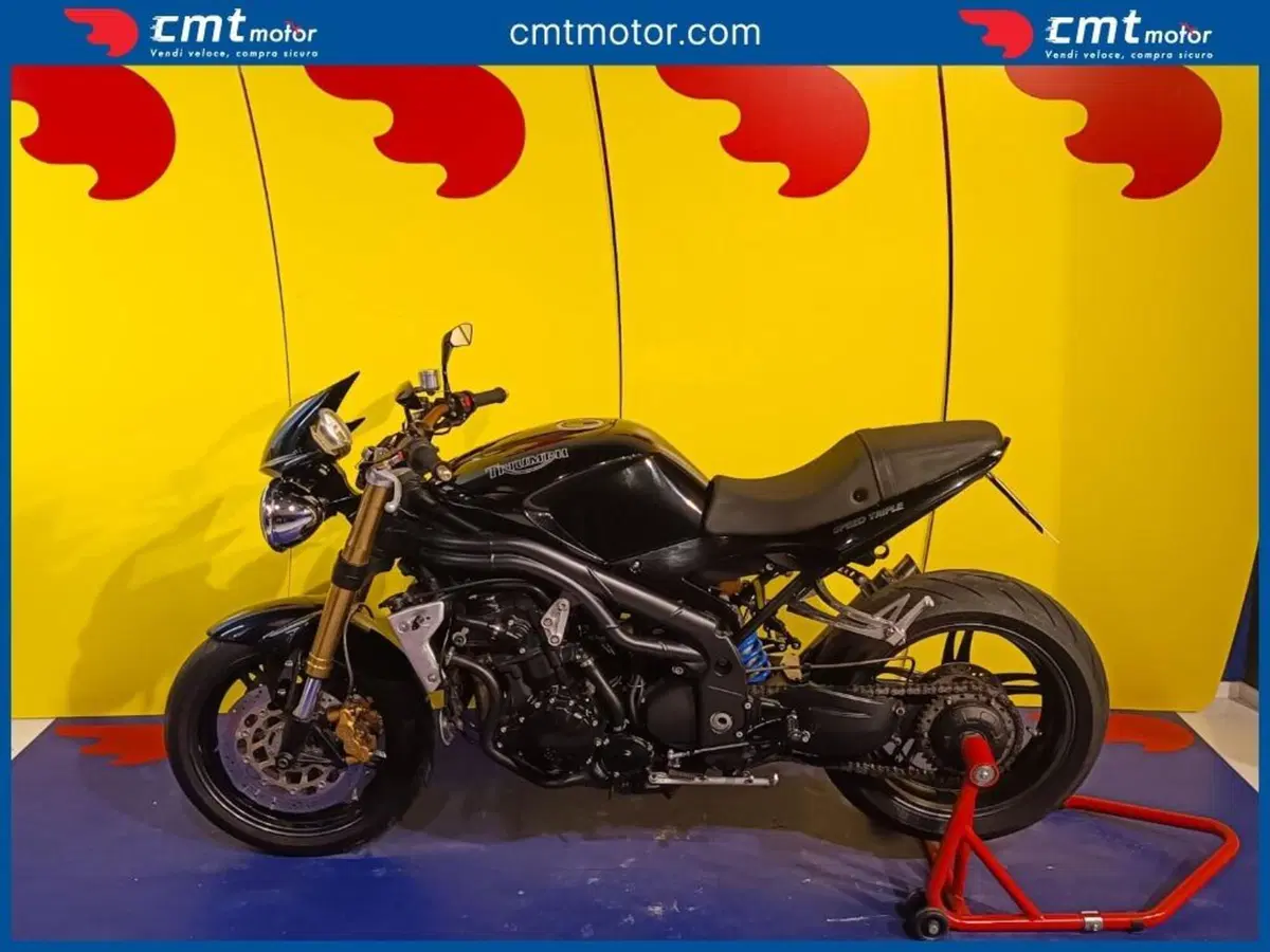 Triumph Speed Triple 1050 (2005 - 11) (3)