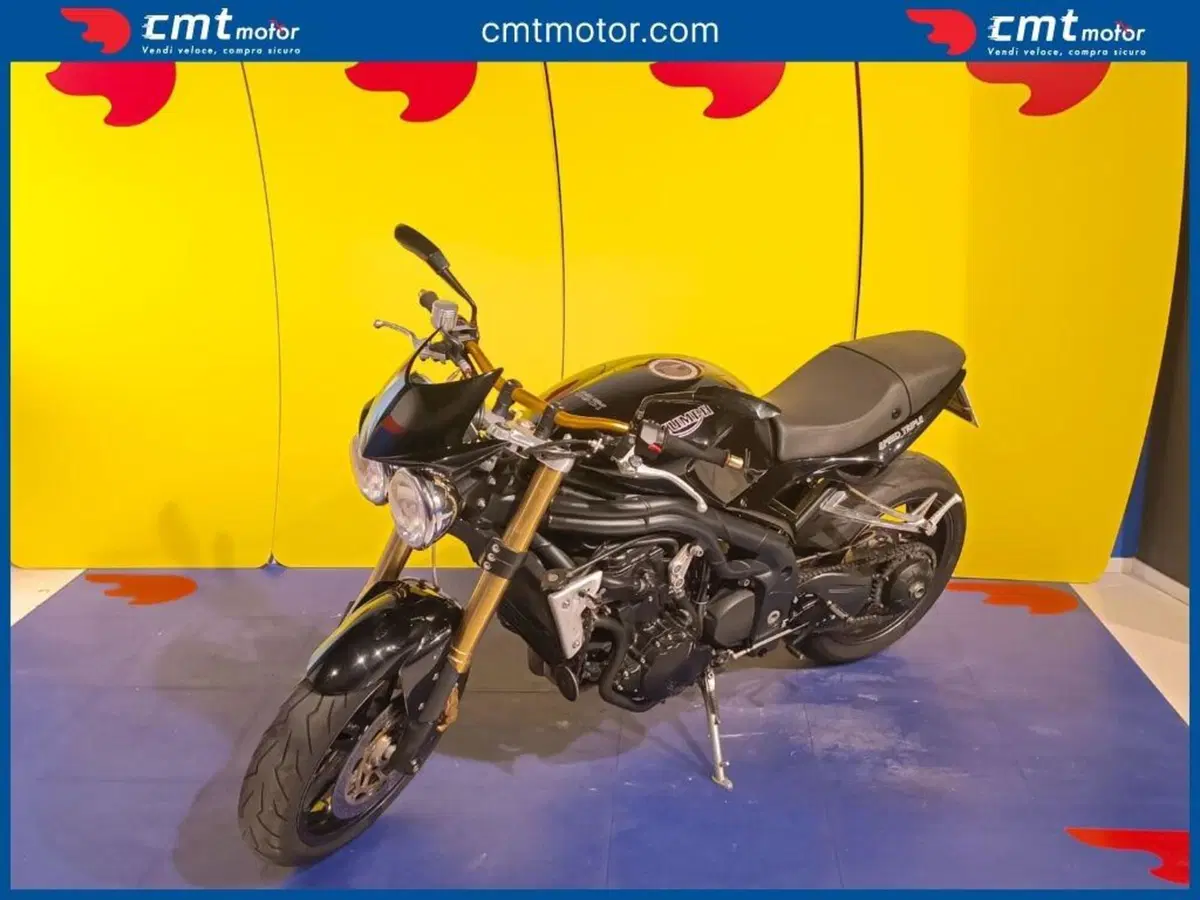Triumph Speed Triple 1050 (2005 - 11) (4)