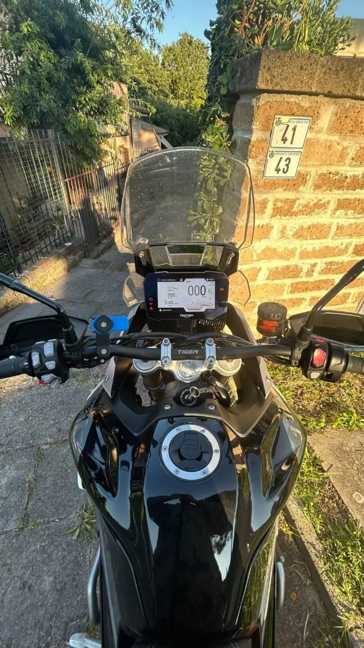 Triumph Tiger 900 Rally Pro (2020 - 23) (2)