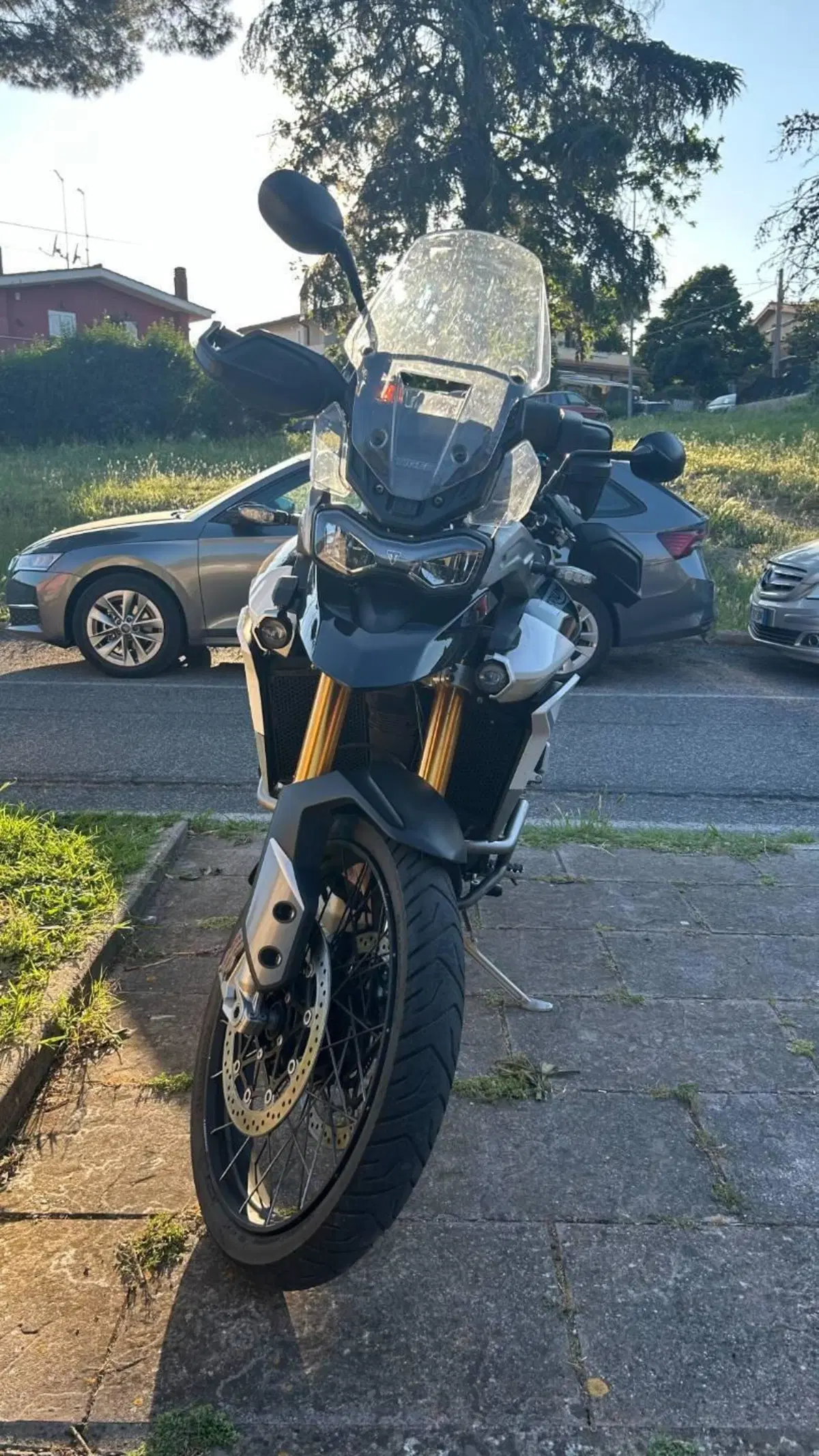 Triumph Tiger 900 Rally Pro (2020 - 23) (3)