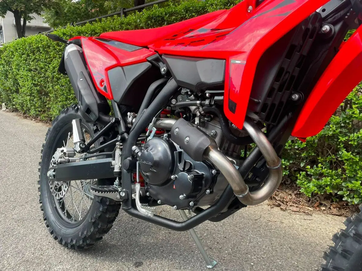 Betamotor RR 125 4T Enduro T (2025 - 26) (2)