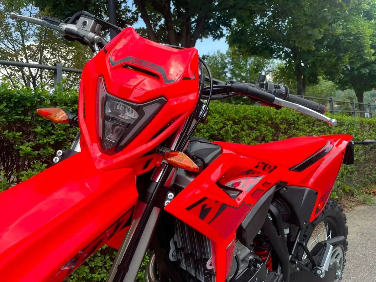 Betamotor RR 125 4T Enduro T (2025 - 26) (4)