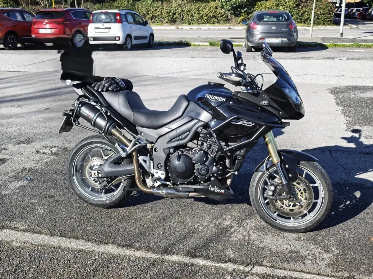 Triumph Tiger 1050 (2006 - 12) (2)
