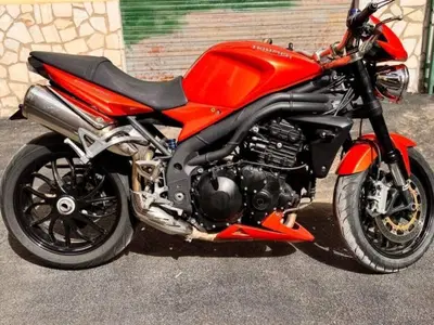 Triumph Speed Triple 1050 (2005 - 11) usata