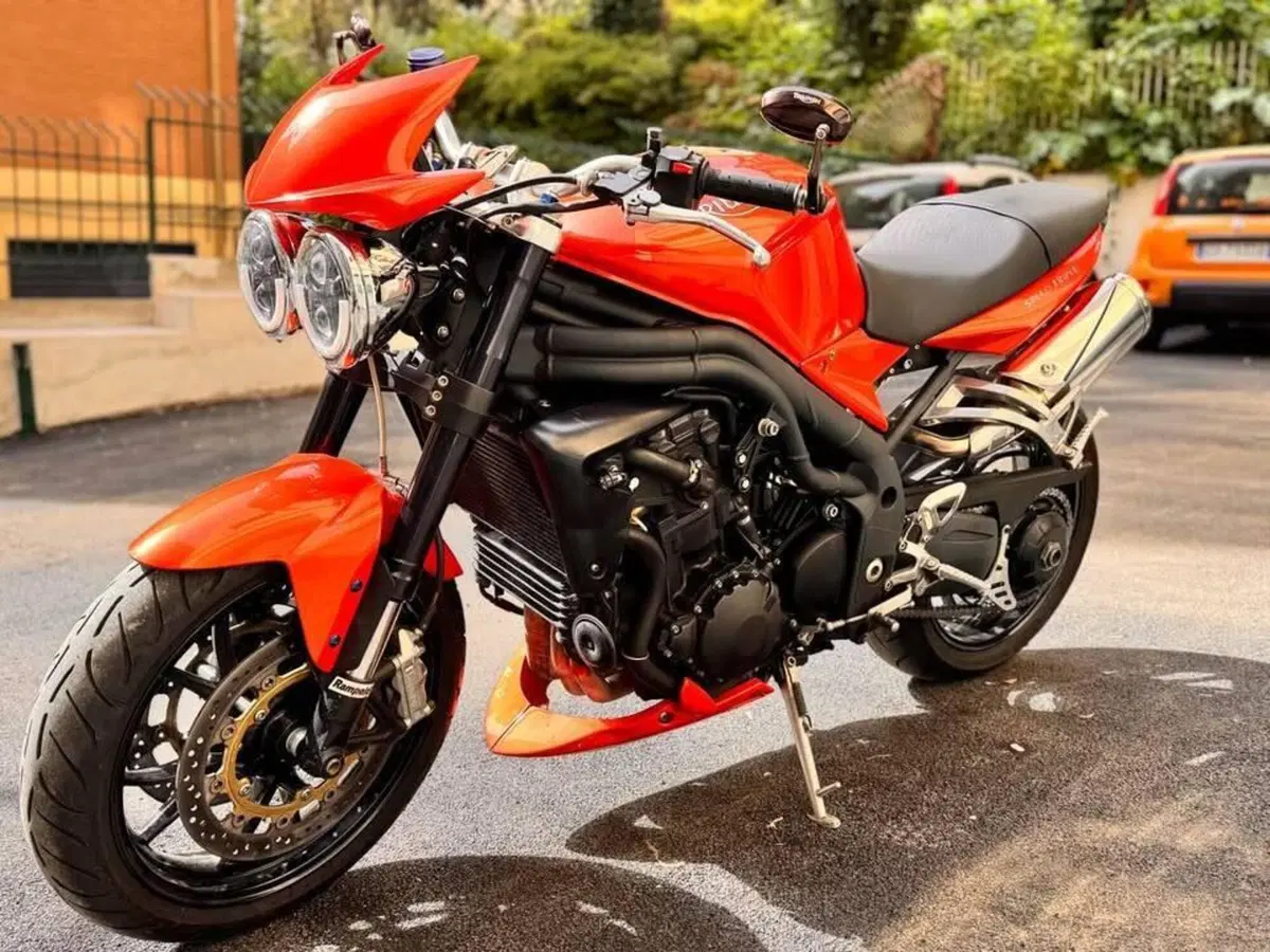 Triumph Speed Triple 1050 (2005 - 11) (5)