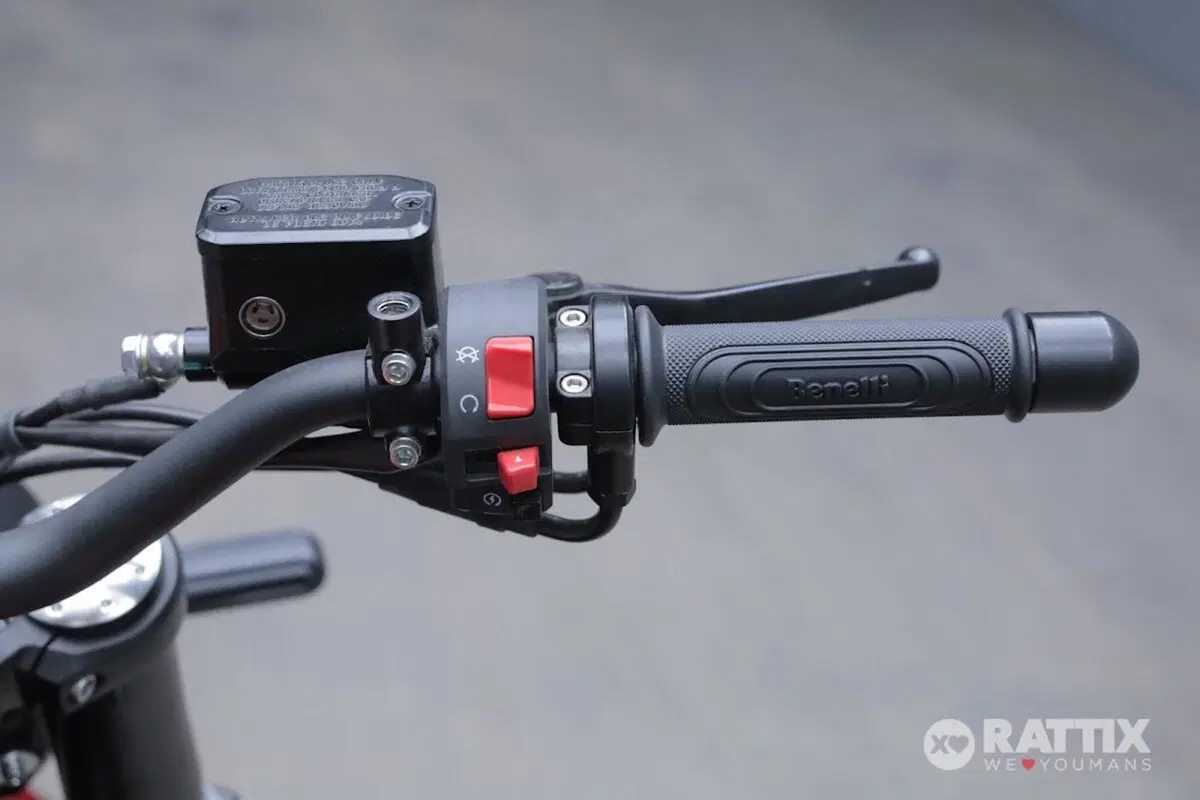 Benelli Leoncino 500 (2021 - 25) (12)