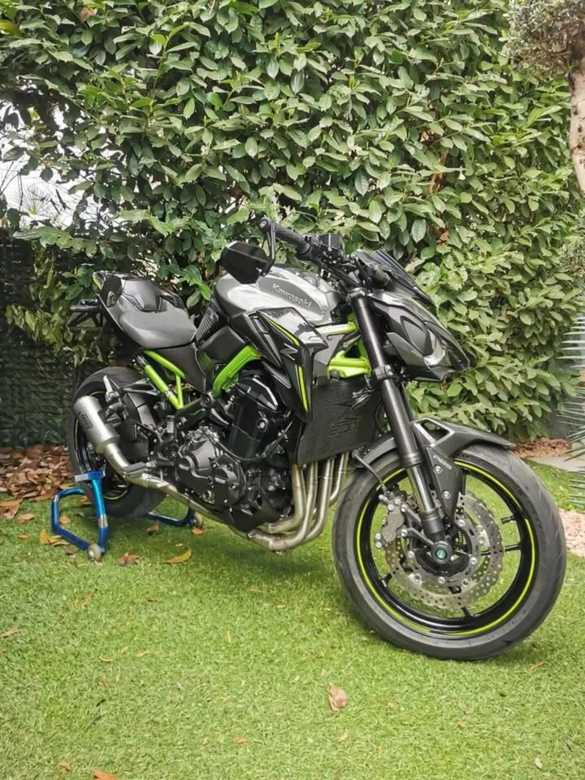 Kawasaki Z 900 (2017 - 18) (3)