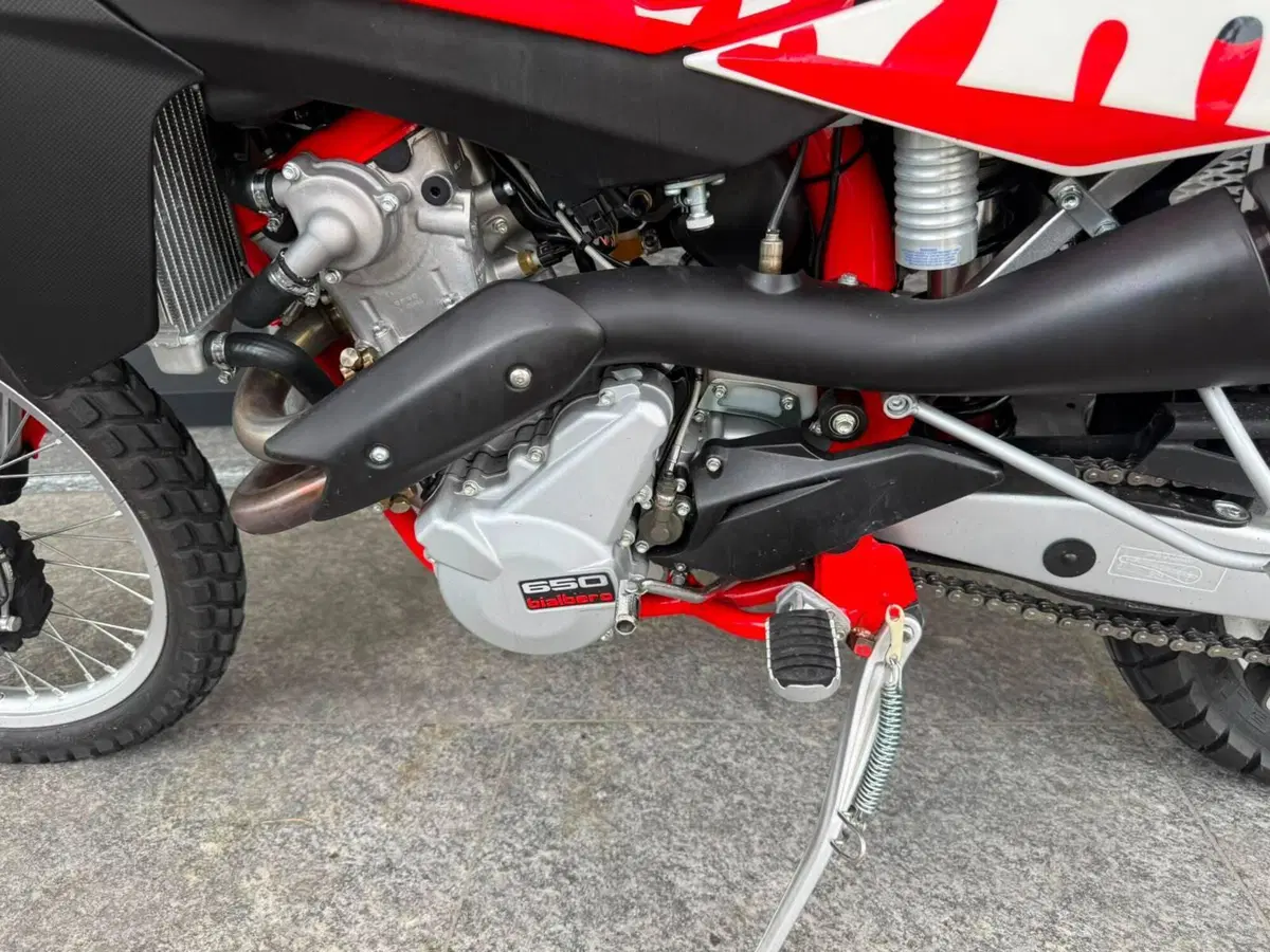 Swm RS 650 R (2017 - 18) (6)