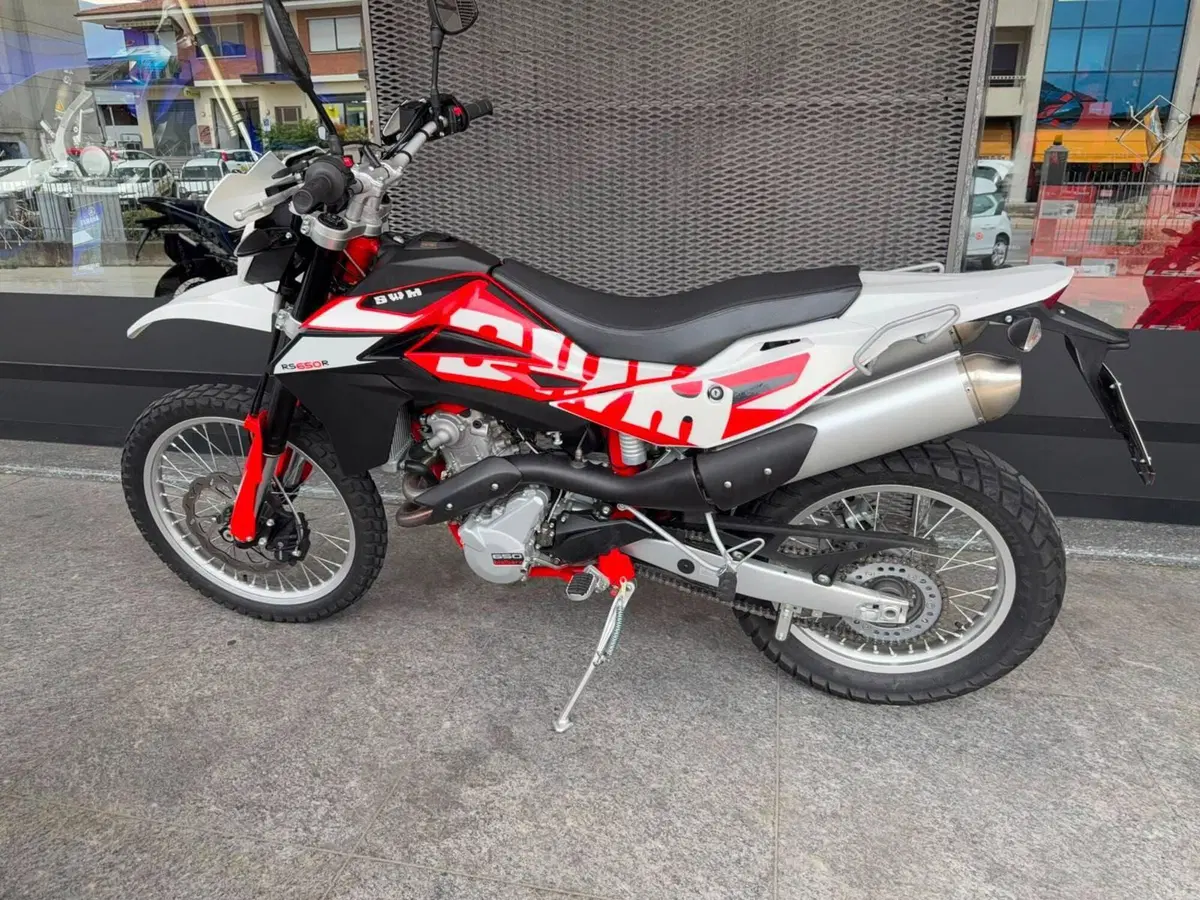 Swm RS 650 R (2017 - 18) (3)