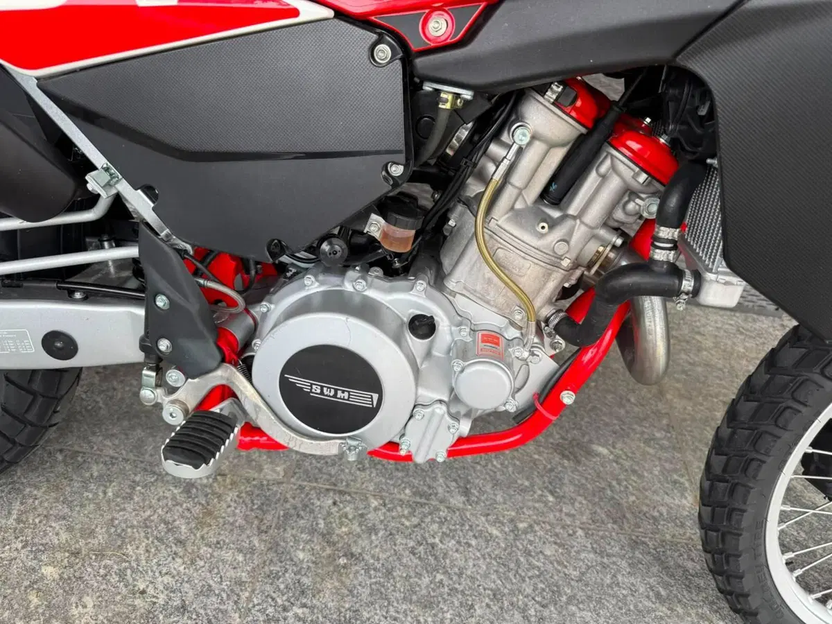 Swm RS 650 R (2017 - 18) (7)