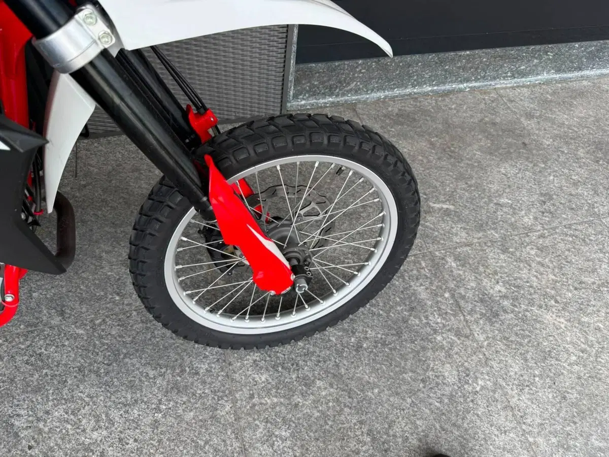 Swm RS 650 R (2017 - 18) (8)