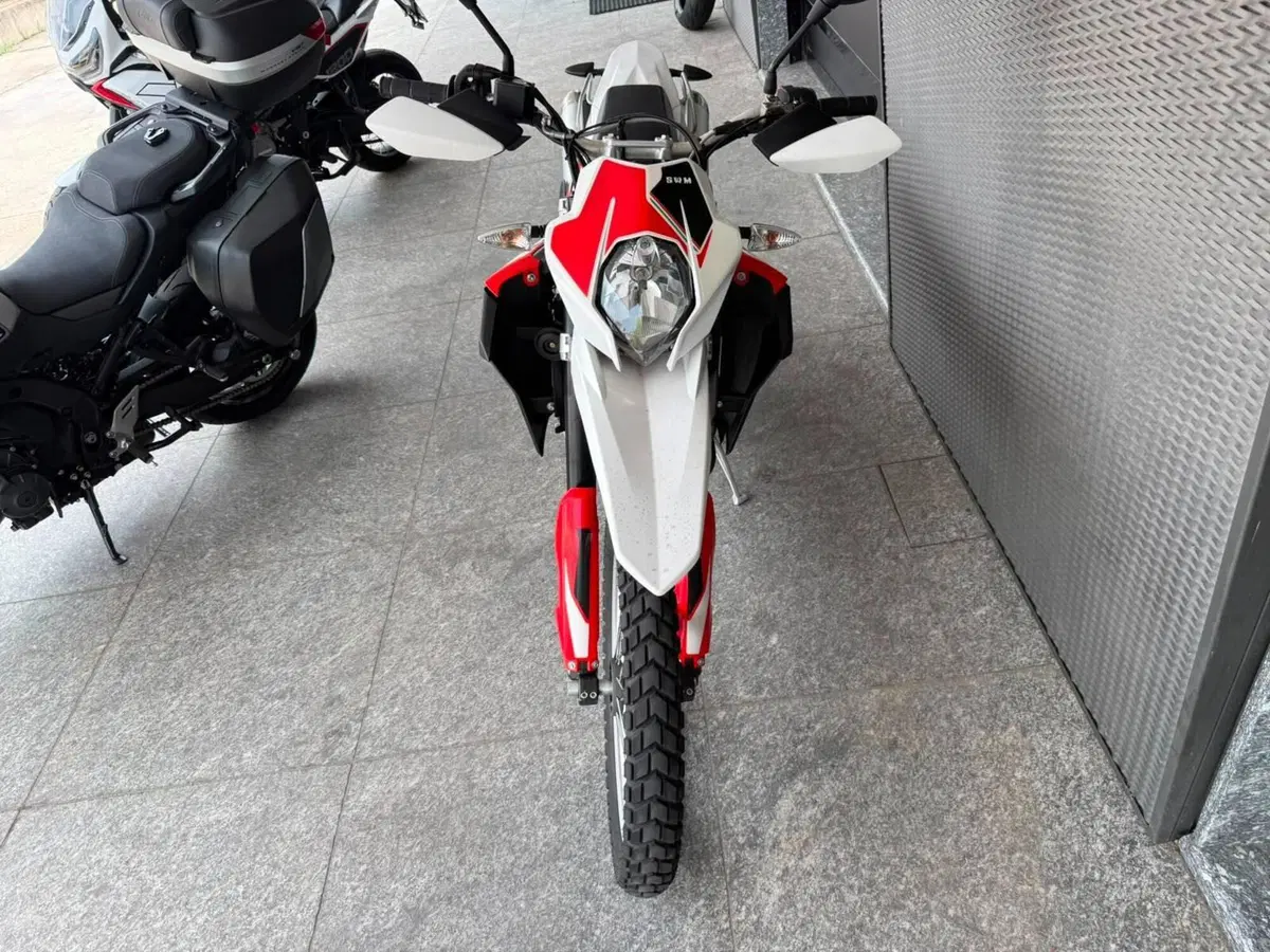 Swm RS 650 R (2017 - 18) (9)