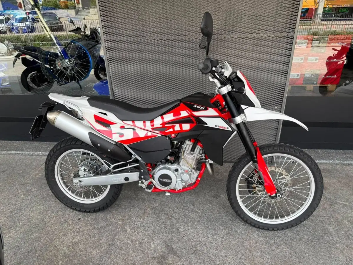 Swm RS 650 R (2017 - 18) (2)