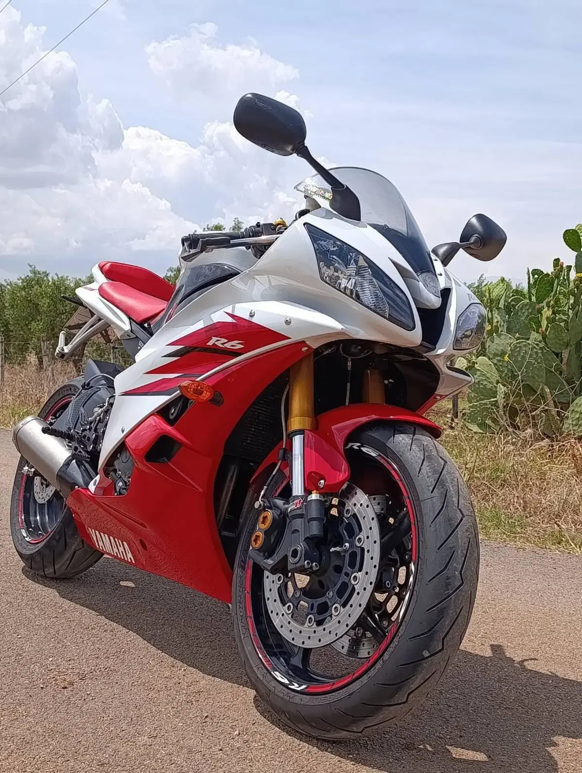 Yamaha YZF R6 (2006 - 07) (6)