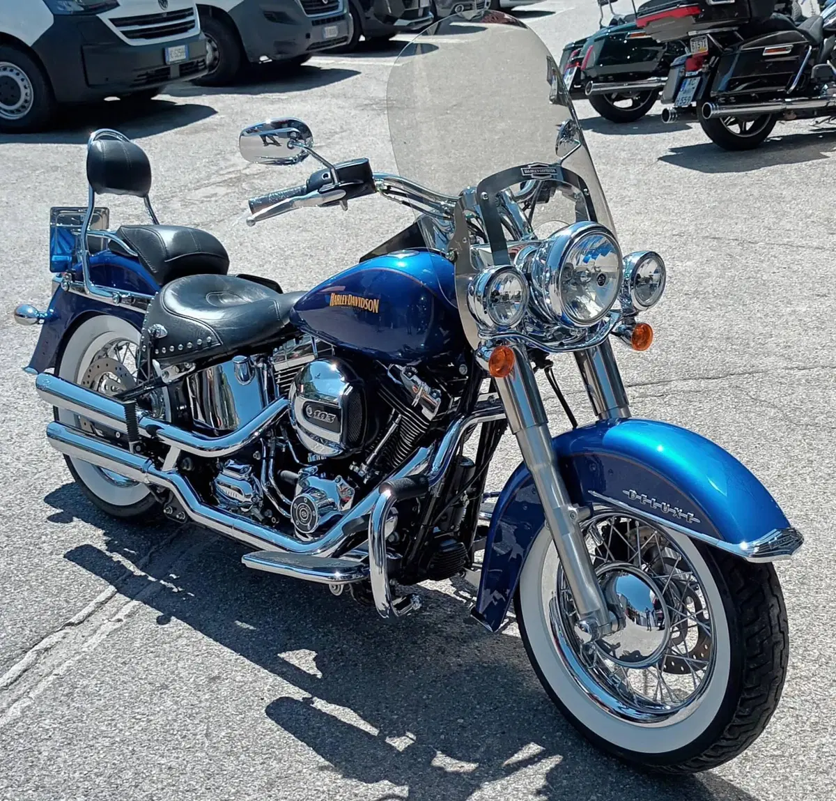 Harley-Davidson 1690 Deluxe (2016 - 17) - FLSTN (3)