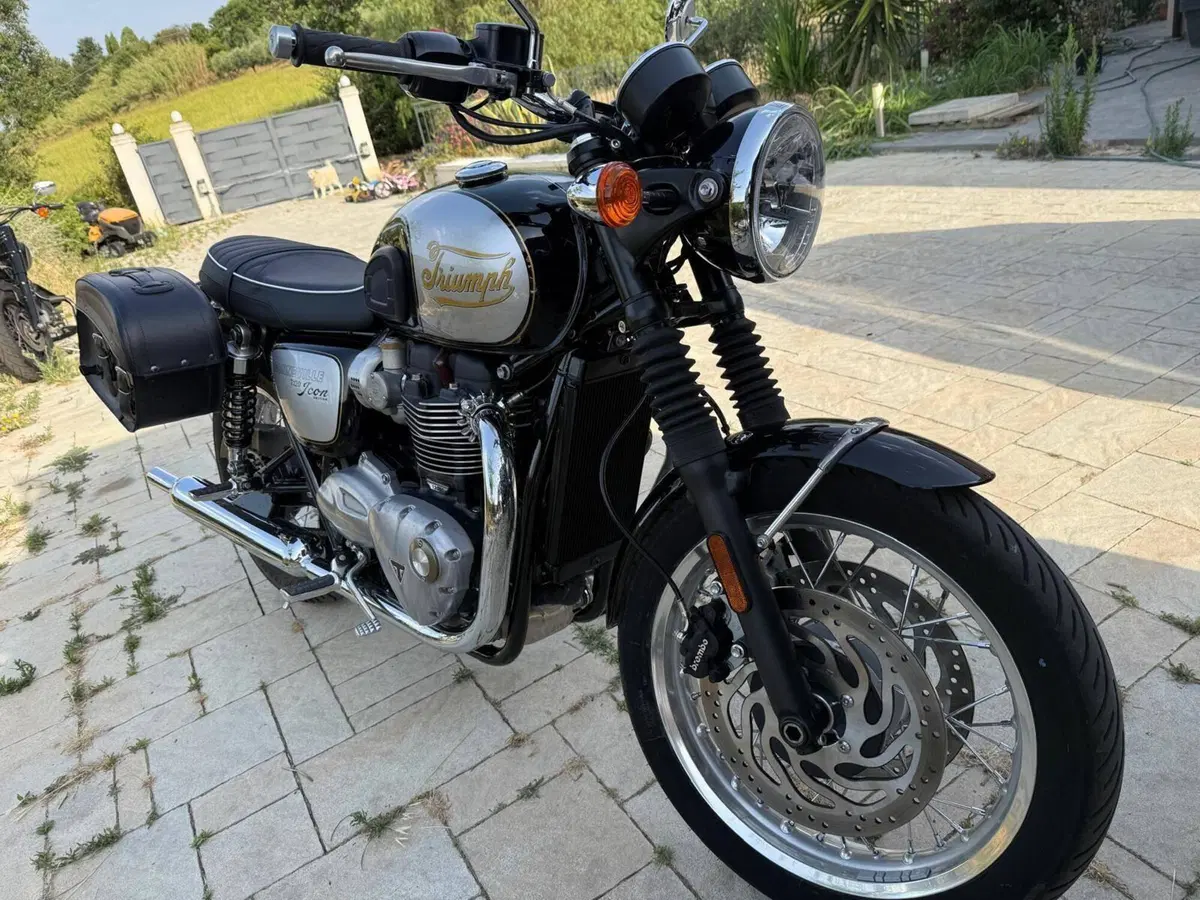 Triumph Bonneville T120 Icon Edition (2025 - 26)