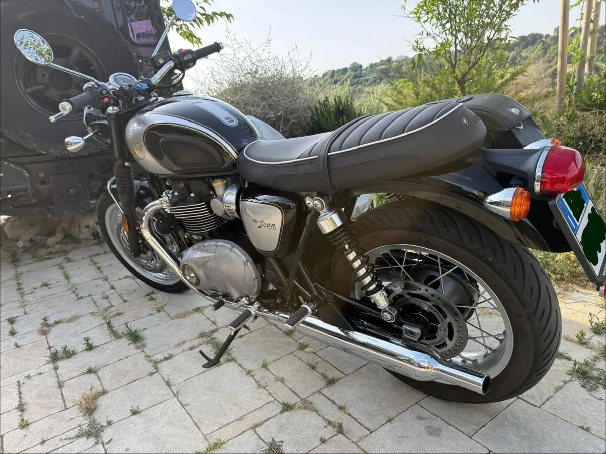 Triumph Bonneville T120 Icon Edition (2025 - 26) (3)
