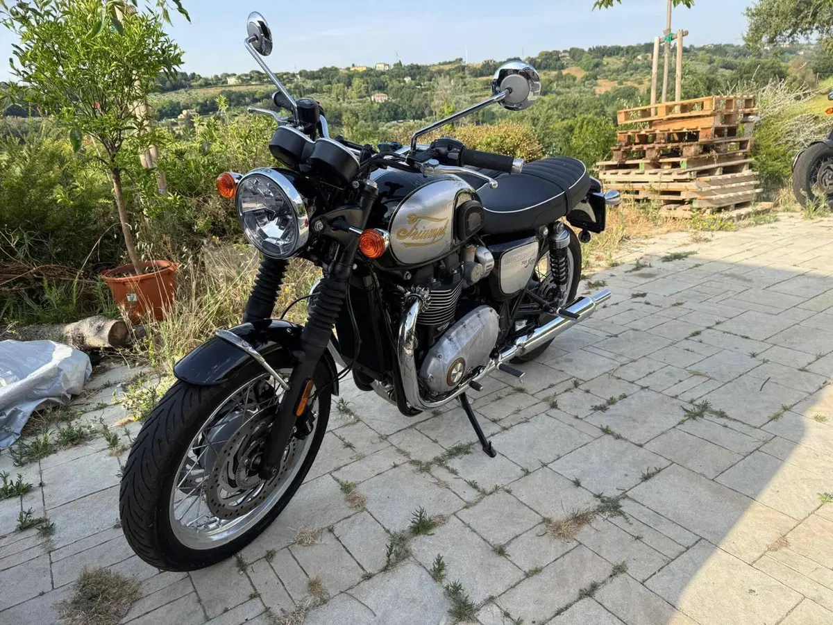 Triumph Bonneville T120 Icon Edition (2025 - 26) (4)