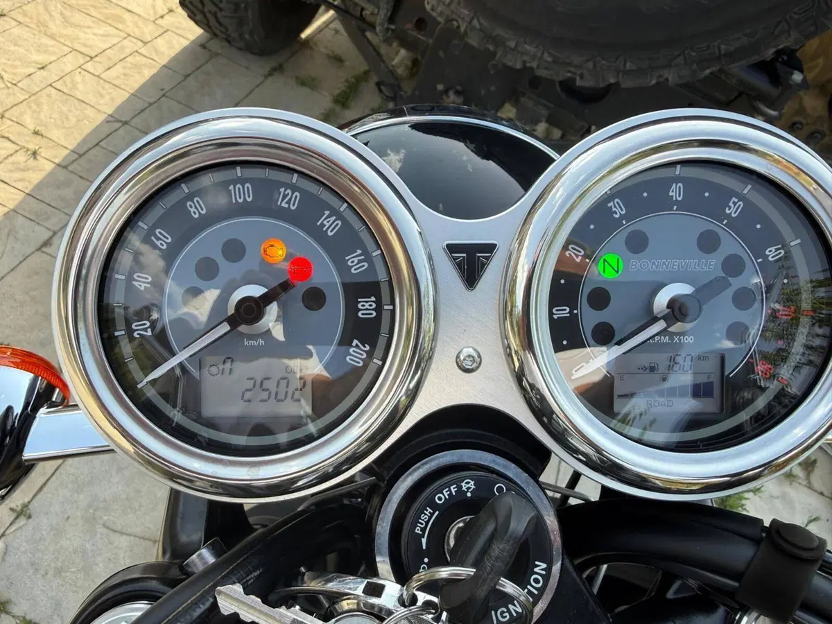 Triumph Bonneville T120 Icon Edition (2025 - 26) (5)