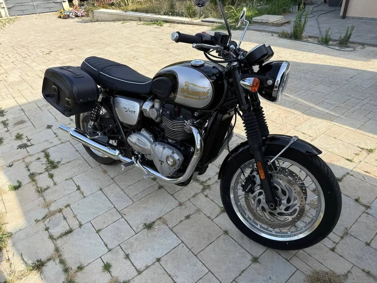 Triumph Bonneville T120 Icon Edition (2025 - 26) (7)