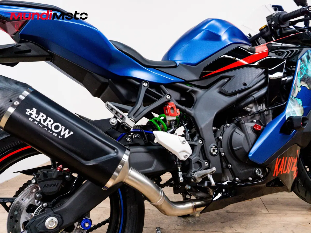 Kawasaki Ninja ZX-4R (2024 - 26) (3)
