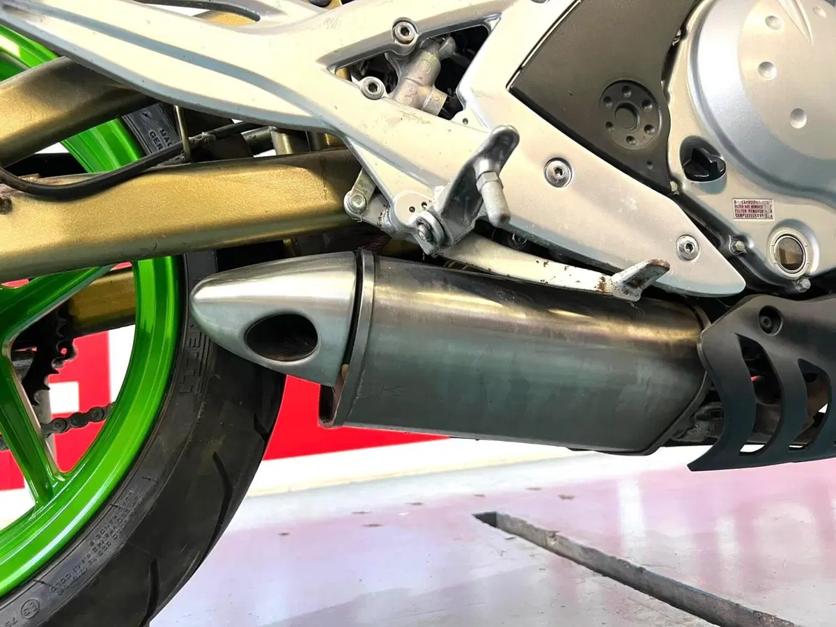Kawasaki ER-6N (2006 - 09) (6)