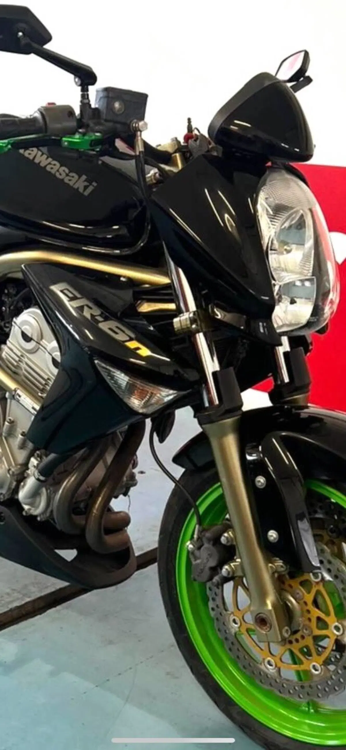 Kawasaki ER-6N (2006 - 09) (8)